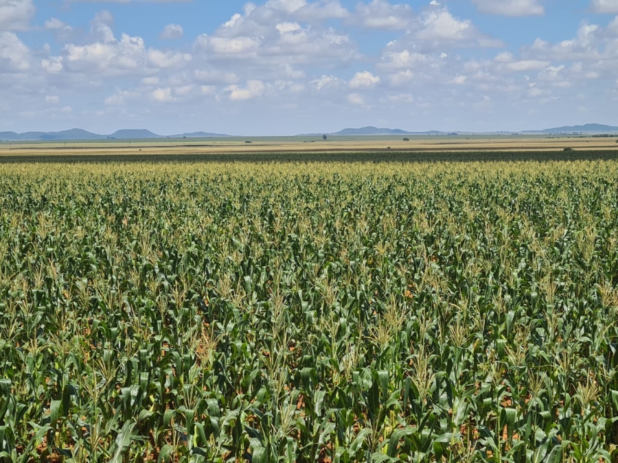 Commercial Property for Sale in Bloemfontein Rural Free State
